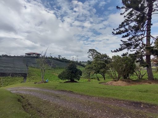 Lote en venta Antioquia El Carmen De Viboral El Carmen De Viboral 1884 m2 Habitaciones 0 Baños 10 Garajes 1 Precio $450000000