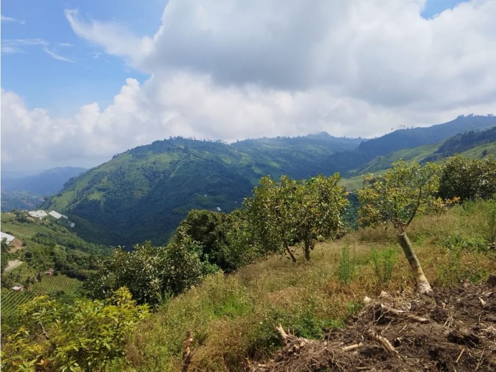 Finca en venta Caldas Villamaría Villamaría 10000 m2 Habitaciones 0 Baños 0 Garajes 0 Precio $250000000