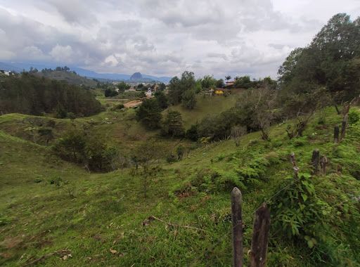 Lote en venta Antioquia Guatape Guatape 1650 m2 Habitaciones 0 Baños 0 Garajes 0 Precio $400000000