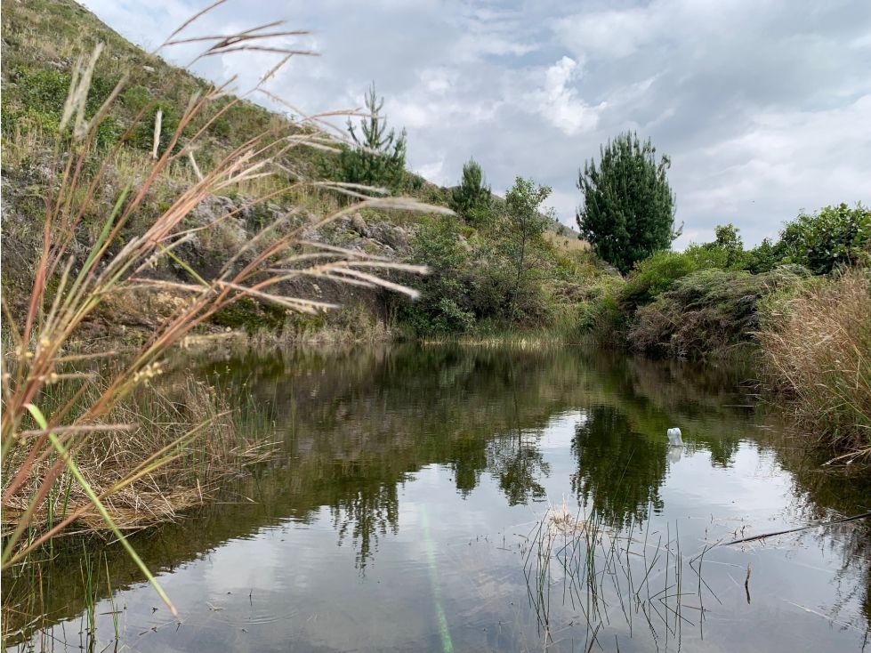Finca en venta Boyacá Villa De Leyva Villa De Leyva 95000 m2 Habitaciones 6 Baños 2 Garajes 1 Precio $2200000000