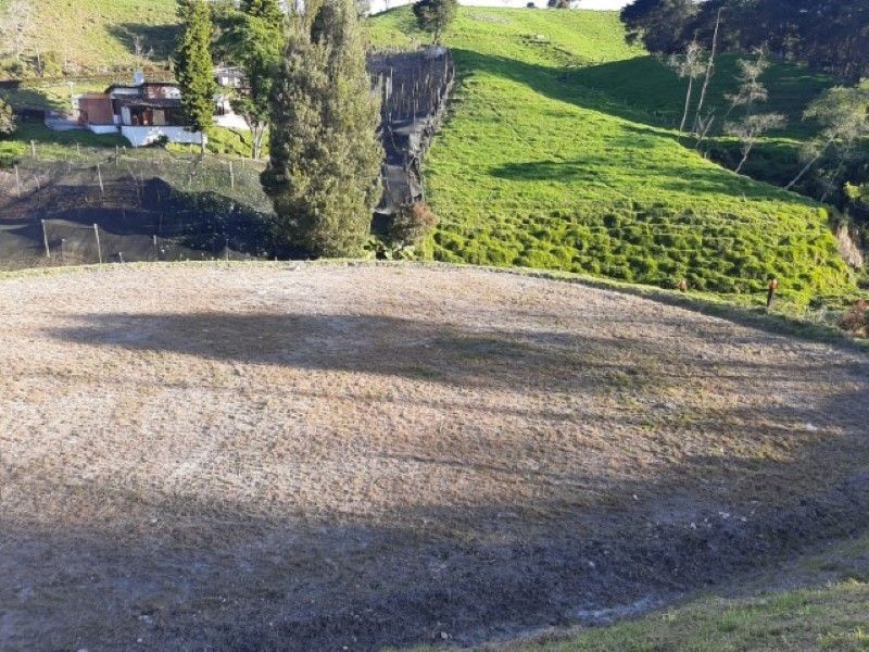 Lote en venta Antioquia La Unión La Unión 1950 m2 Habitaciones 0 Baños 0 Garajes 0 Precio $300000000