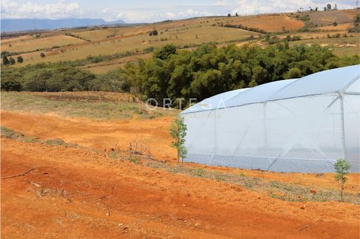 Lote en venta Santander San Gil Asd 2324 m2 Habitaciones 0 Baños 0 Garajes 0 Precio $97000000