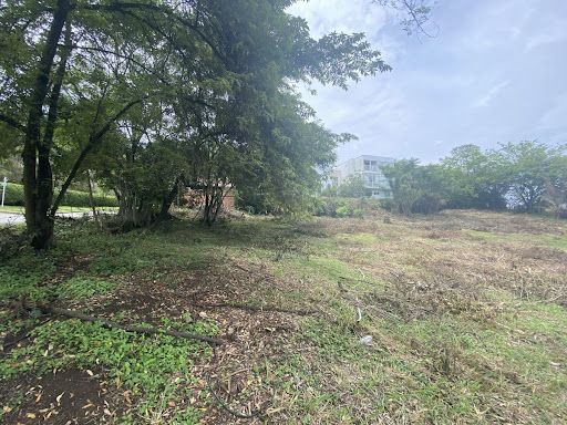 Lote en venta Valle Del Cauca Cali Parcelaciones Pance 3400 m2 Habitaciones 0 Baños 0 Garajes 0 Precio $4420000000
