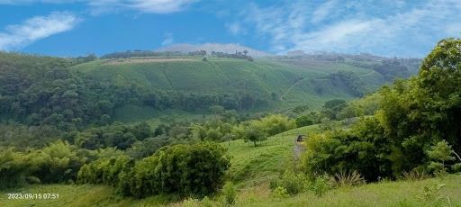 Lote en venta Risaralda Pereira Pereira 2339 m2 Habitaciones 0 Baños 10 Garajes 1 Precio $643321250