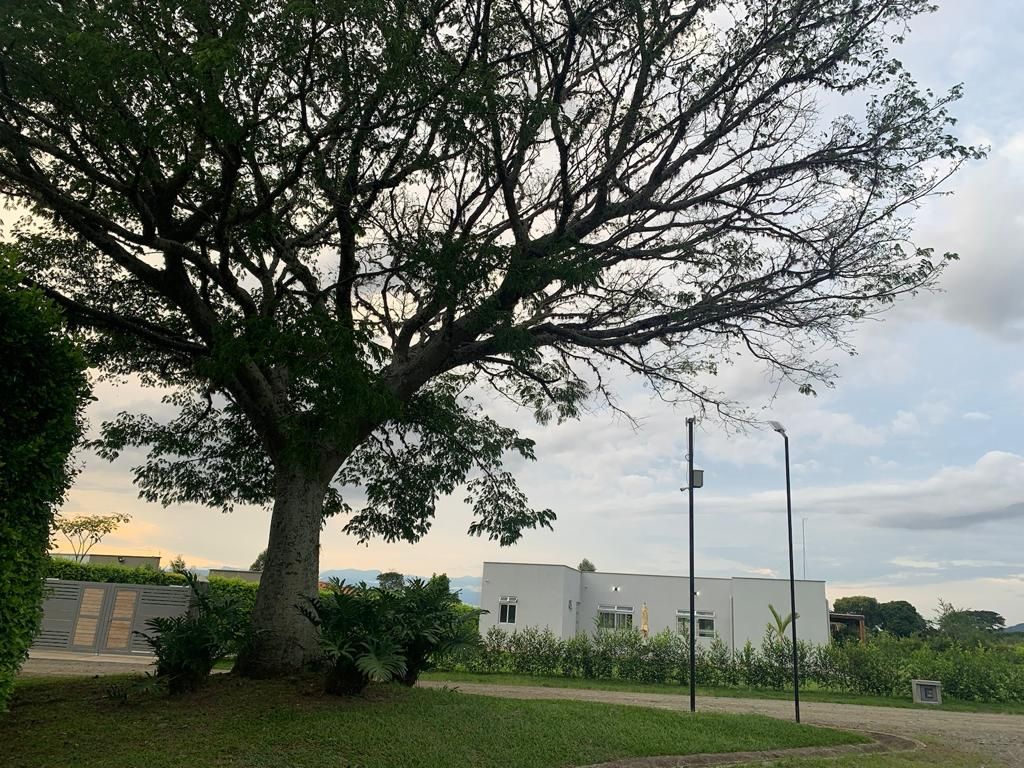 Lote Rural en venta Valle Del Cauca Ginebra Ginebra 6271 m2 Habitaciones 1 Baños 1 Garajes 0 Precio $627100000