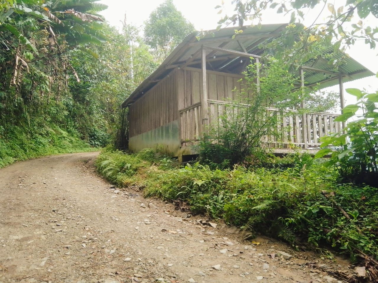 Finca en venta Quindío Génova Génova 10000 m2 Habitaciones 2 Baños 0 Garajes 2 Precio $65000000