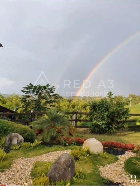 Finca en venta Quindío Filandia Filandia 215 m2 Habitaciones 8 Baños 17 Garajes 3 Precio $3150000000
