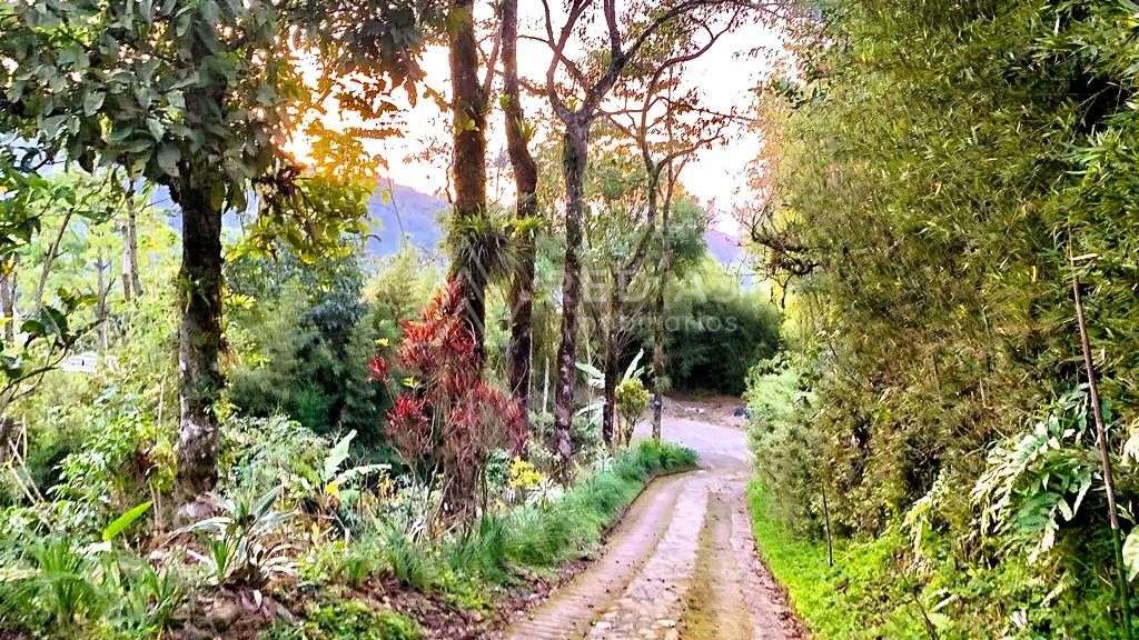 Finca en venta Risaralda Santa Rosa De Cabal Vereda Planadas 560 m2 Habitaciones 12 Baños 25 Garajes 5 Precio $1200000000