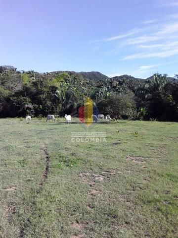 Finca en venta Tolima Valle De San Juan Valle De San Juan 150 m2 Habitaciones 3 Baños 2 Garajes 1 Precio $320000000