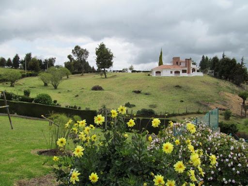 Casa en venta Cundinamarca Chía Chia 316 m2 Habitaciones 4 Baños 8 Garajes 5 Precio $1720000000