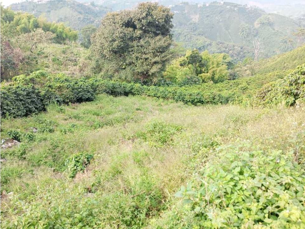 Lote en venta Caldas Manizales Manizales 404 m2 Habitaciones 0 Baños 0 Garajes 0 Precio $220000000