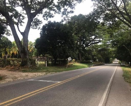 Lote en venta Huila Campoalegre Campoalegre 38952 m2 Habitaciones 0 Baños 10 Garajes 1 Precio $1600000000