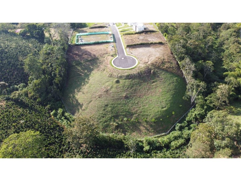 Lote en venta Quindío Calarcá Calarcá 1236 m2 Habitaciones 0 Baños 10 Garajes 1 Precio $380000000