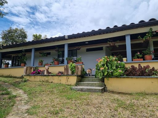 Finca en venta Quindío Filandia Filandia 600 m2 Habitaciones 7 Baños 15 Garajes 12 Precio $1800000000