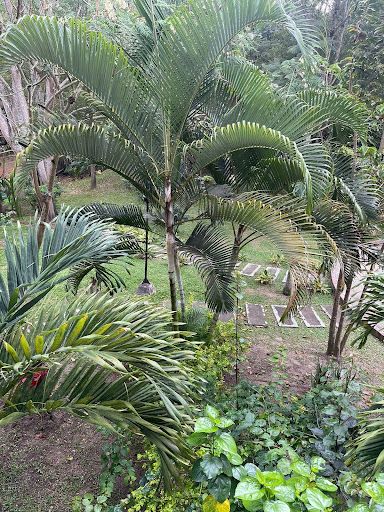 Apartamento en venta Tolima Ibagué Ub Villa Clara Et Ii 56 m2 Habitaciones 3 Baños 2 Garajes 1 Precio $120000000