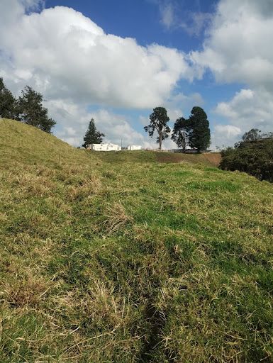 Lote en venta Antioquia La Unión La Unión 350 m2 Habitaciones 0 Baños 0 Garajes 0 Precio $1500000000