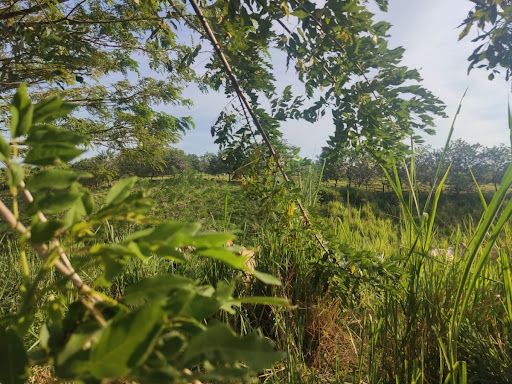 Lote en venta Risaralda Pereira Pereira 15529 m2 Habitaciones 0 Baños 10 Garajes 1 Precio $5605969000