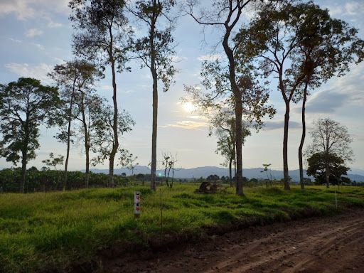 Lote en venta Risaralda Pereira Otros 2896 m2 Habitaciones 0 Baños 10 Garajes 1 Precio $250000000