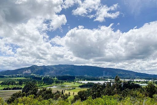 Lote en venta Cundinamarca Cogua Cogua 42000 m2 Habitaciones 0 Baños 0 Garajes 0 Precio $680000000