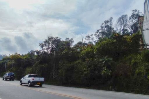 Lote en venta Cundinamarca La Calera La Calera 4005 m2 Habitaciones 0 Baños 0 Garajes 0 Precio $1600000000