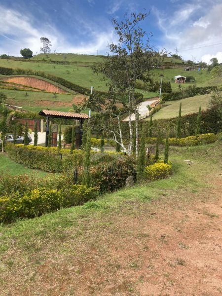 Lote en venta Antioquia Marinilla Vereda La Milagrosa 3500 m2 Habitaciones 0 Baños 0 Garajes 0 Precio $500000000
