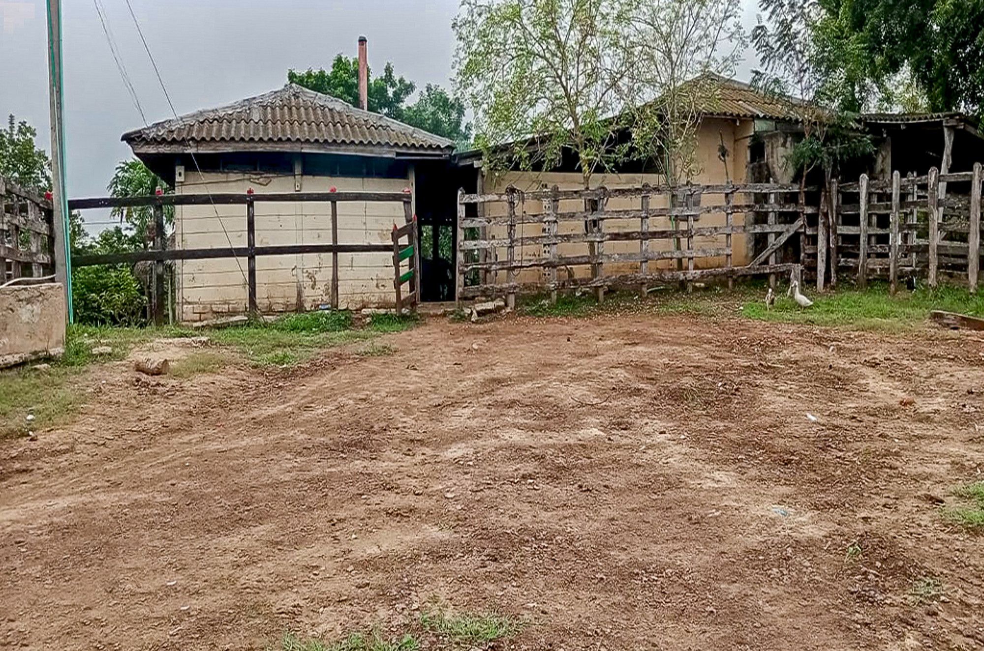 Inmuebles en Remate Finca en venta Magdalena Sabanas De San Angel Sabanas De San Angel 4150 m2 Habitaciones 3 Baños 1 Garajes 1 Precio $1600000000