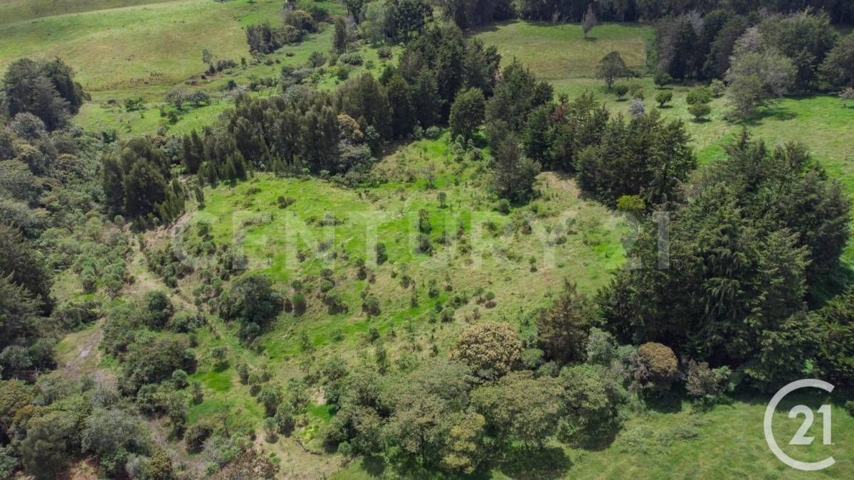 Lote en venta Antioquia Rionegro Centro 24800 m2 Habitaciones 0 Baños 0 Garajes 10 Precio $6944000000