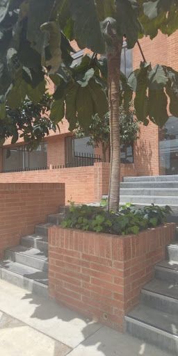 Apartamento en venta Cundinamarca Chía Ibaro 108 m2 Habitaciones 3 Baños 3 Garajes 1 Precio $515000000