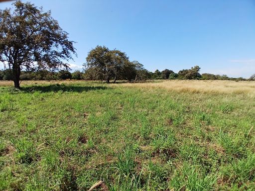 Lote en venta Huila Rivera Rivera 35910 m2 Habitaciones 0 Baños 10 Garajes 1 Precio $950000000