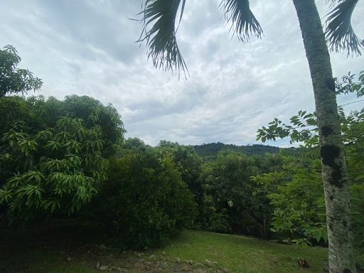 Casa Campestre en venta Cundinamarca Anapoima Anapoima 12000 m2 Habitaciones 6 Baños 4 Garajes 4 Precio $2050000000