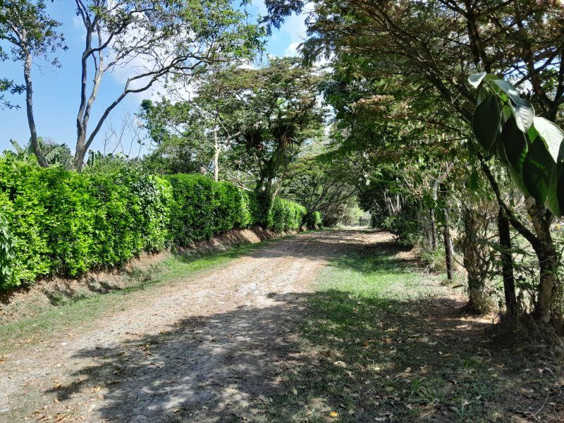 Lote en venta Antioquia Barbosa Barbosa 19120 m2 Habitaciones 0 Baños 0 Garajes 0 Precio $956000000
