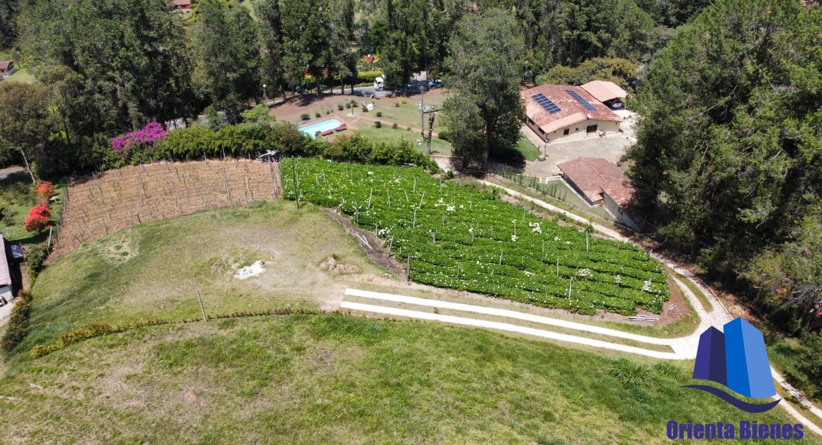 Lote en venta Antioquia La Ceja La Ceja 0 m2 Habitaciones 0 Baños 10 Garajes 1 Precio $550000000