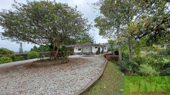Finca en venta Antioquia Rionegro El Porvenir 10000 m2 Habitaciones 3 Baños 2 Garajes 0 Precio $1900000000