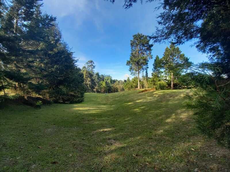 Lote en venta Antioquia La Ceja San Cayetano 2522 m2 Habitaciones 0 Baños 10 Garajes 1 Precio $490000000
