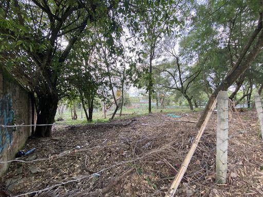 Lote en venta Valle Del Cauca Cali Parcelaciones Pance 3350 m2 Habitaciones 0 Baños 0 Garajes 5 Precio $6900000000