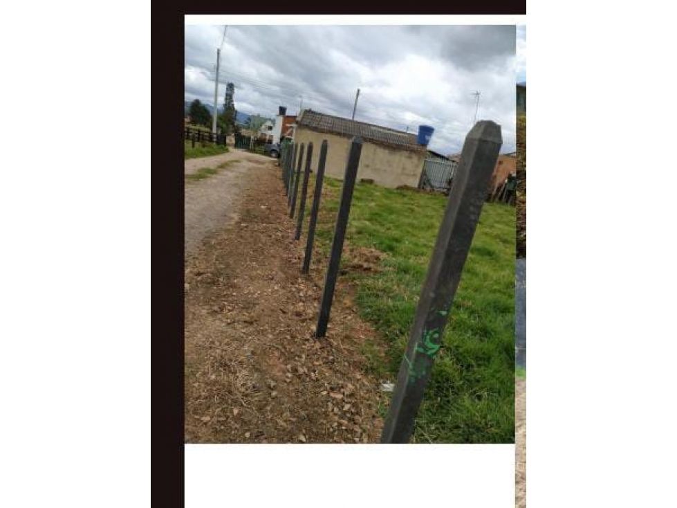 Lote en venta Cundinamarca Cogua Cogua 598 m2 Habitaciones 0 Baños 0 Garajes 0 Precio $300000000