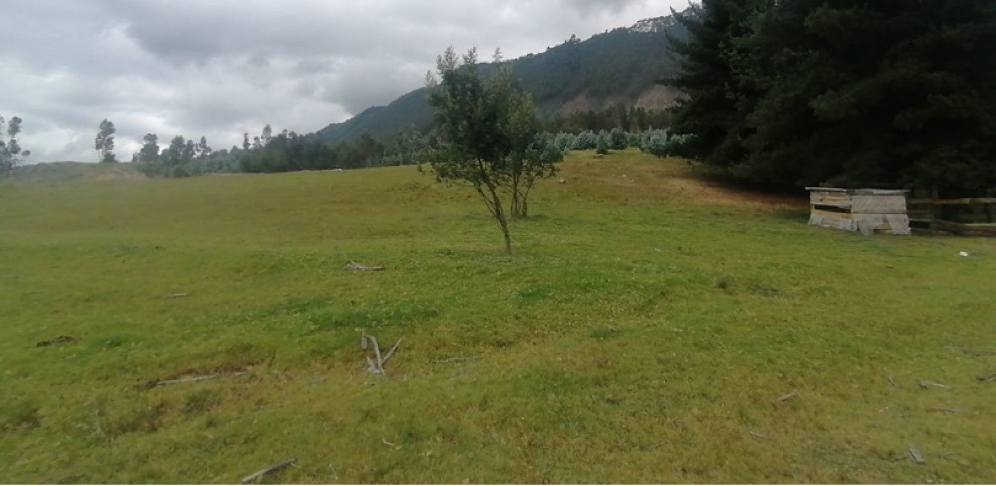 Inmuebles en Remate Lote en venta Cundinamarca Cajicá Centro 24963 m2 Habitaciones 0 Baños 0 Garajes 0 Precio $13730000000