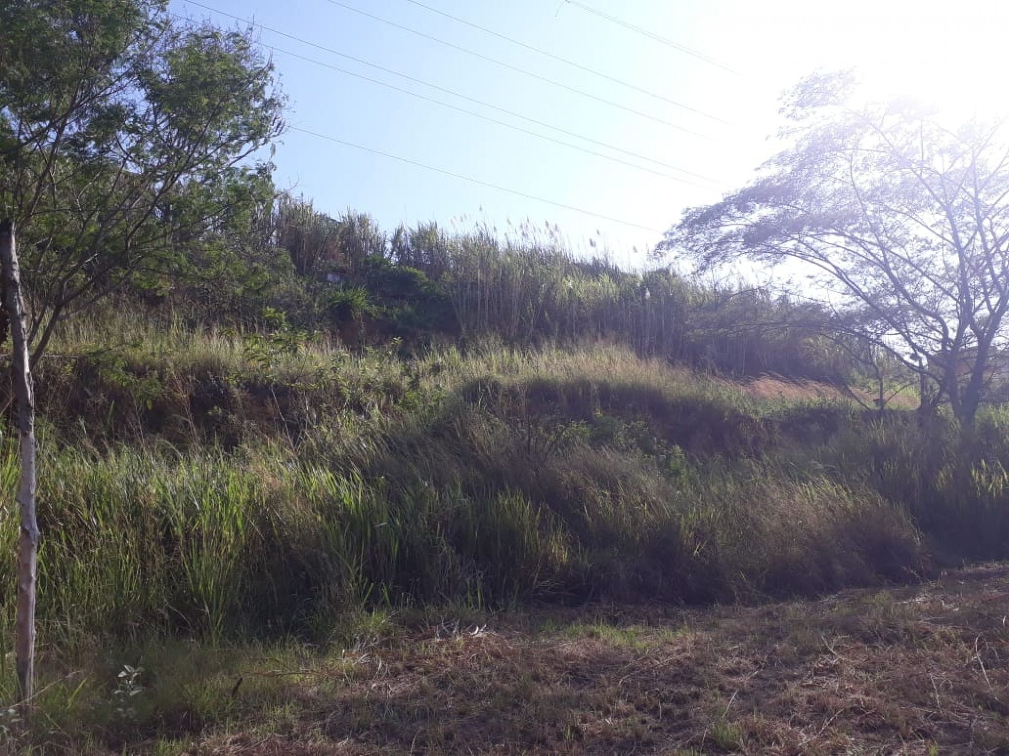 Inmuebles en Remate Lote en venta Valle Del Cauca Cali Cali 249 m2 Habitaciones 0 Baños 0 Garajes 0 Precio $65000000