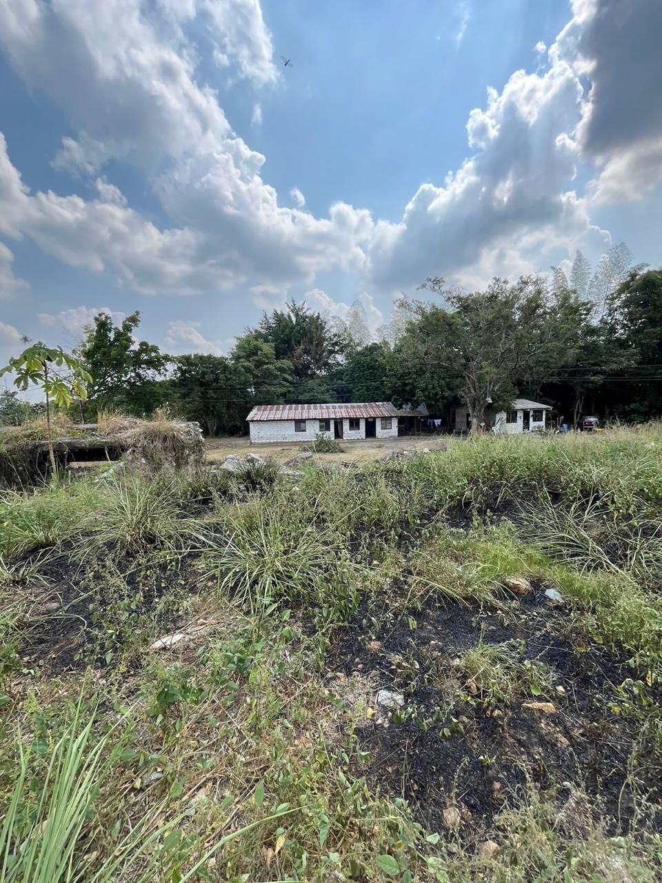 Lote en venta Tolima Ibagué Zona Industrial-aparco Via Picalena 0 m2 Habitaciones 0 Baños 10 Garajes 1 Precio $3300000000