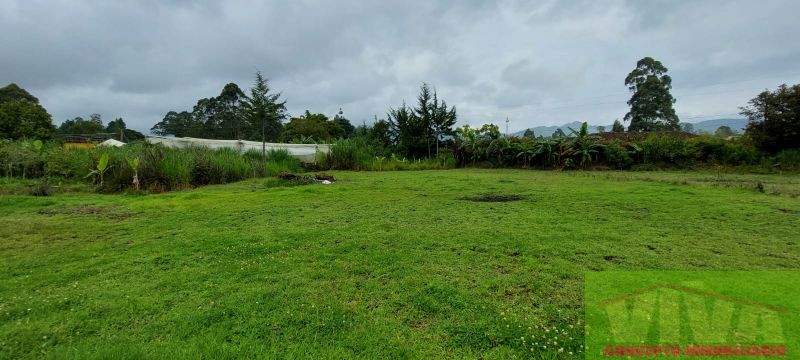 Lote en venta Antioquia La Ceja Centro 2500 m2 Habitaciones 0 Baños 0 Garajes 0 Precio $650000000