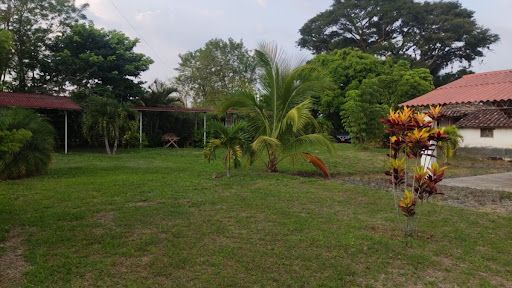 Lote en venta Risaralda Pereira Pereira 3266 m2 Habitaciones 0 Baños 0 Garajes 1 Precio $700000000