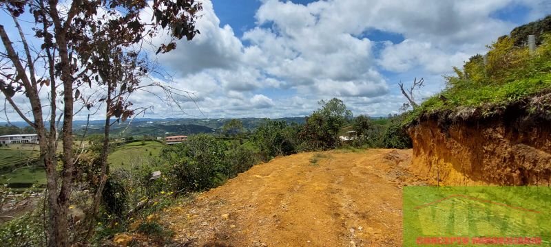 Lote en venta Antioquia Marinilla Marinilla 3200 m2 Habitaciones 0 Baños 0 Garajes 0 Precio $384000000