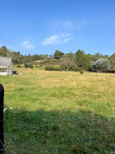 Lote en venta Antioquia Medellín Medellín 3200 m2 Habitaciones 0 Baños 10 Garajes 1 Precio $760000000