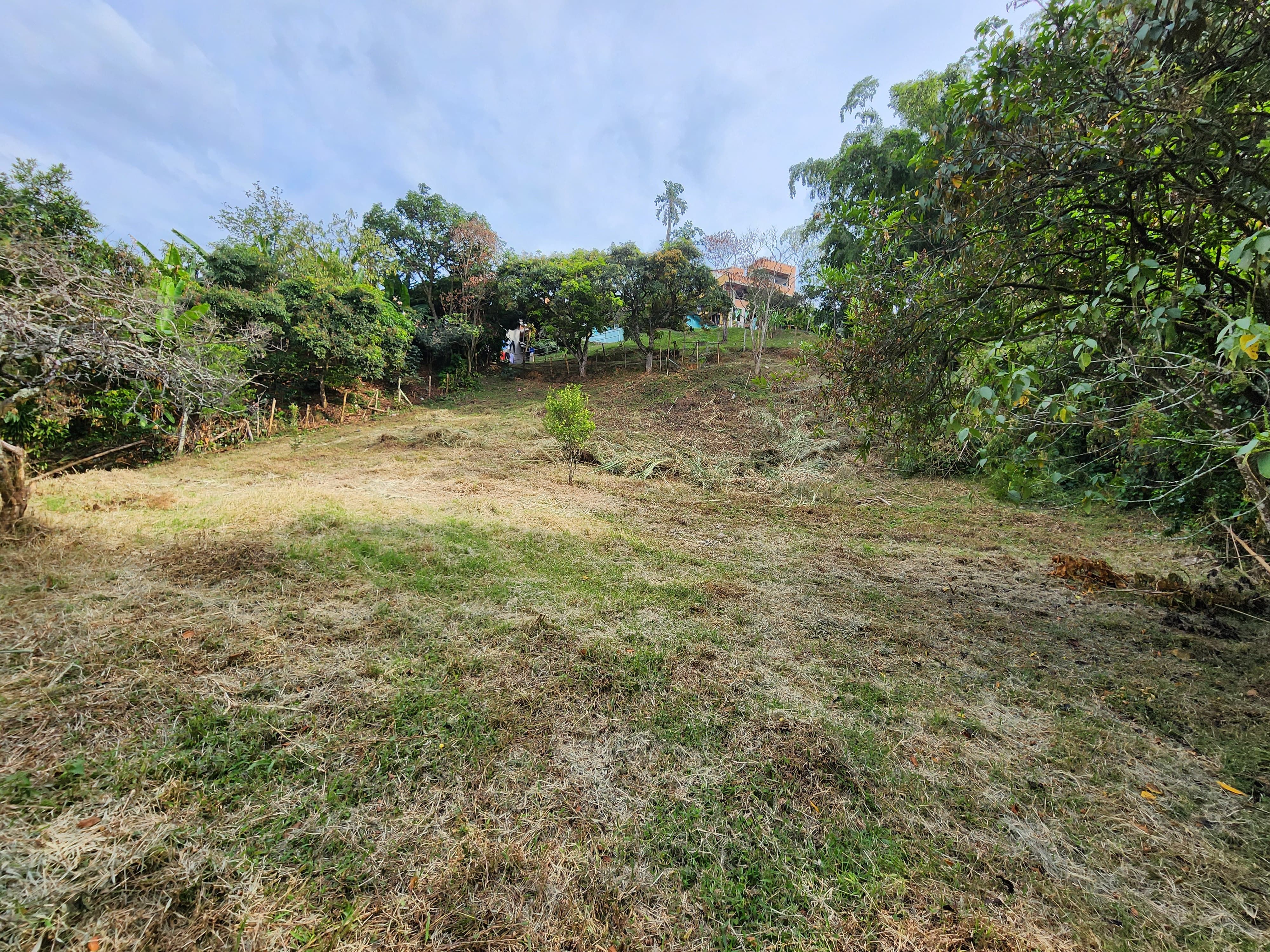 Lote en venta Antioquia Envigado San Rafael 0 m2 Habitaciones 0 Baños 10 Garajes 1 Precio $750000000