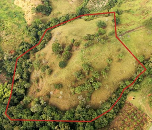 Lote en venta Antioquia Jericó Jericó 0 m2 Habitaciones 0 Baños 10 Garajes 1 Precio $980000000