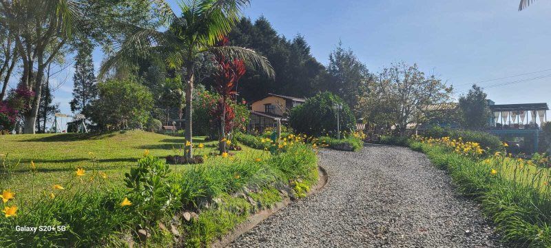 Casa en venta Antioquia Rionegro Rionegro 19200 m2 Habitaciones 5 Baños 4 Garajes 0 Precio $2990000000