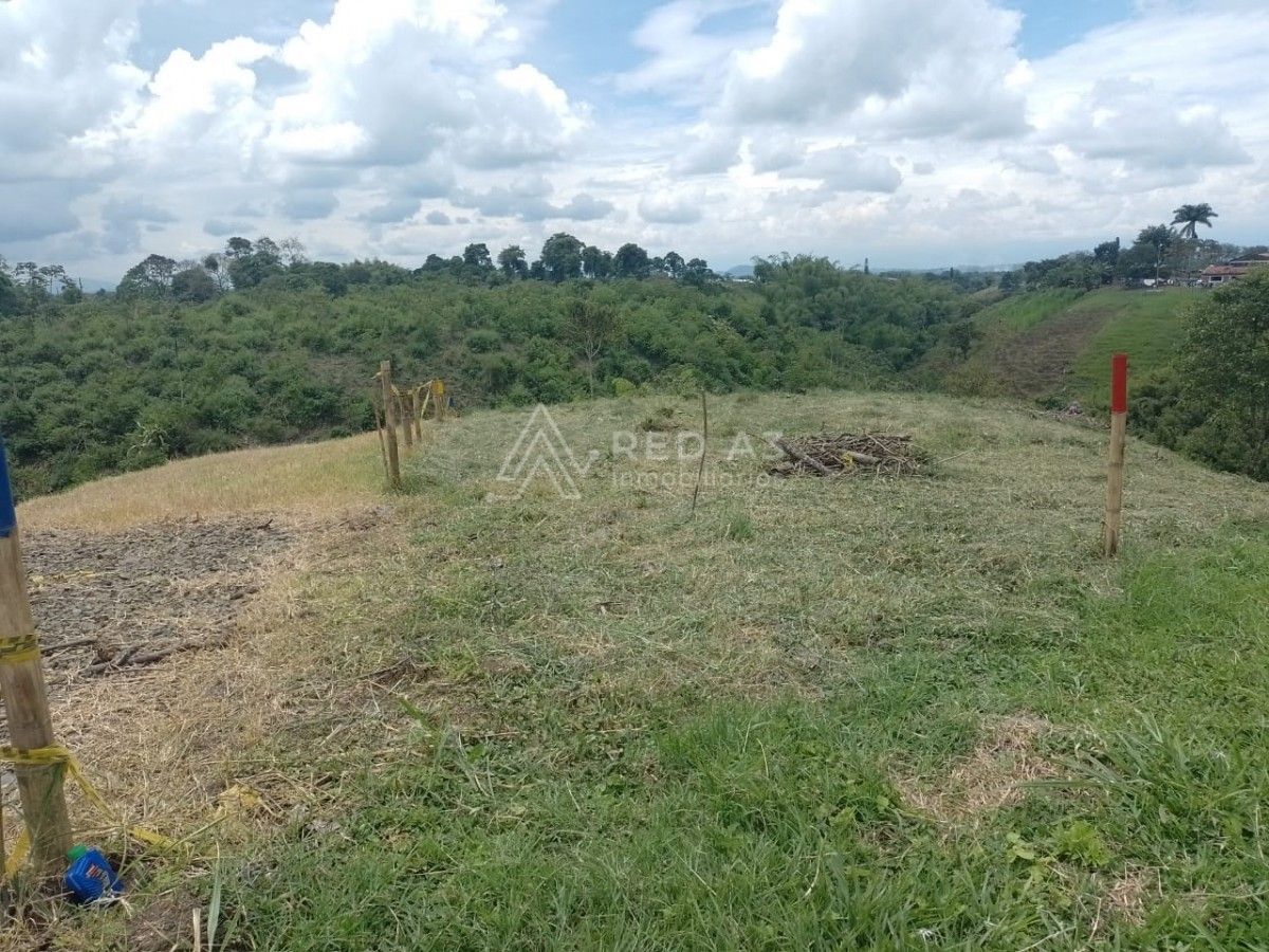 Lote en venta Valle Del Cauca Alcalá Alcala 7313 m2 Habitaciones 0 Baños 10 Garajes 1 Precio $439000000