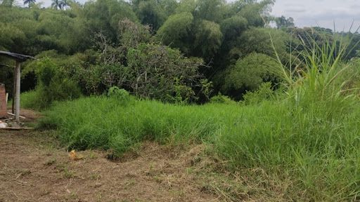 Finca en venta Risaralda Pereira Pereira 250 m2 Habitaciones 4 Baños 2 Garajes 1 Precio $1000000000