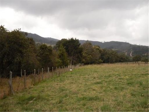 Lote en venta Magdalena Santa Marta El Prado 1522 m2 Habitaciones 0 Baños 0 Garajes 0 Precio $650000000