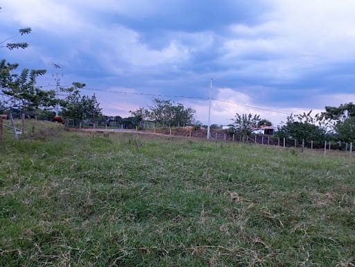 Lote en venta Risaralda Pereira Otros 1565 m2 Habitaciones 0 Baños 10 Garajes 1 Precio $210000000